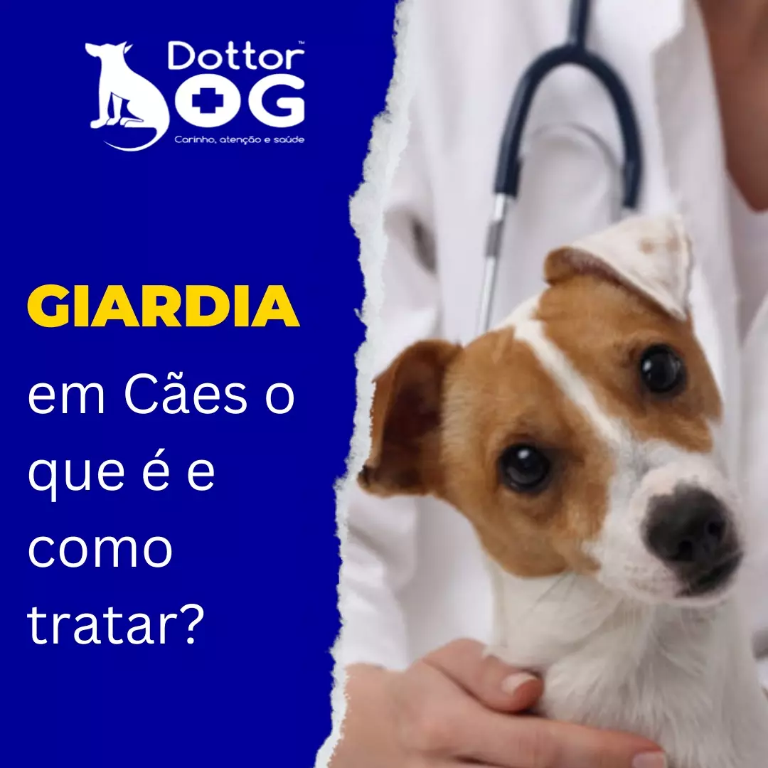 GIARDIA CANINA, SINTOMAS  PREVENÇÃO E TRATAMENTOS